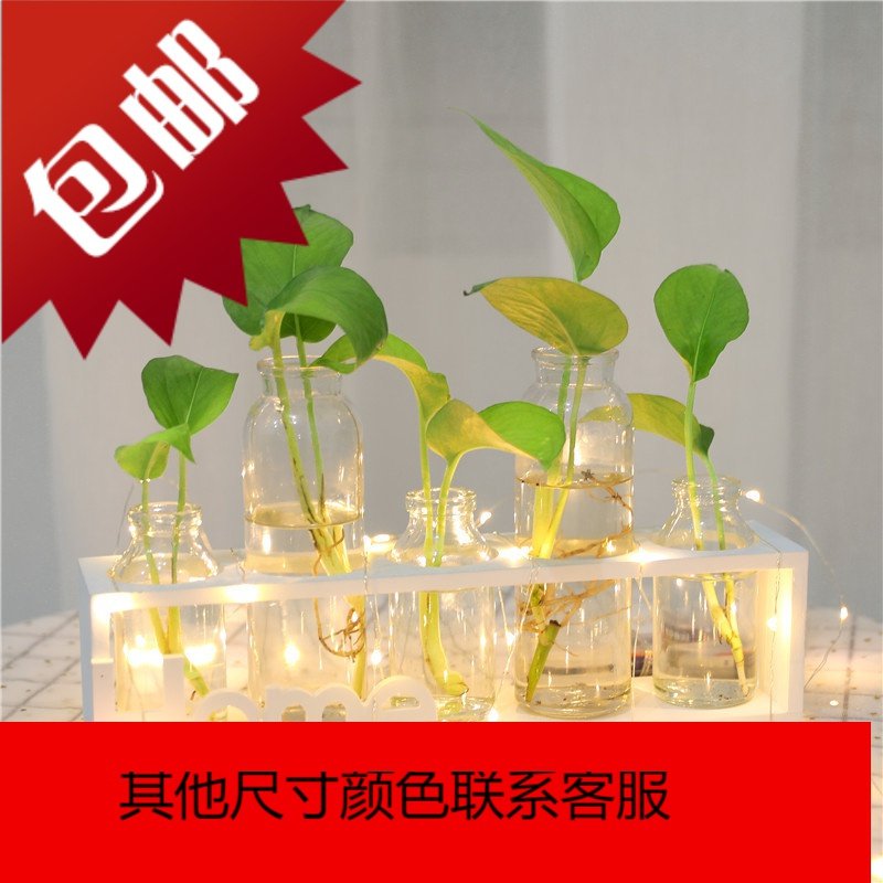 绿萝水培植物玻璃花瓶花盆小清新客厅插花办公室桌面摆件植物容器_572