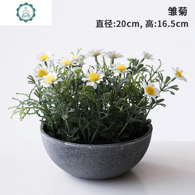 北欧ins装饰仿真植物家居客厅绿植盆栽摆件桌面薰衣小雏菊盆栽 封后 雏菊_139_206