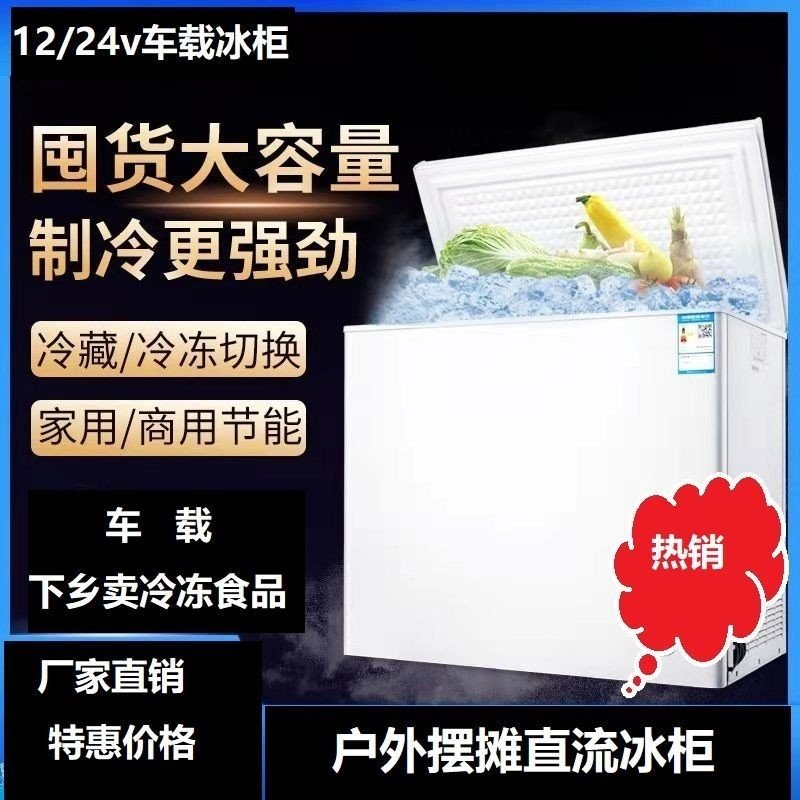 纳丽雅(Naliya)车家两用车载冰箱12V24v电瓶直流冰柜房车压缩机制冷太阳能小冰柜(sNJ)_5