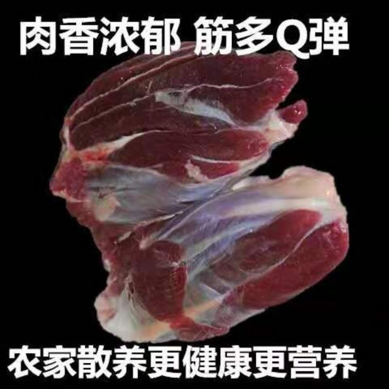 赛卡伊 新鲜现杀黄牛腱子肉农家散养黄牛肉国产牛腿腱子花键肉5斤 3斤黄牛肉腱子肉