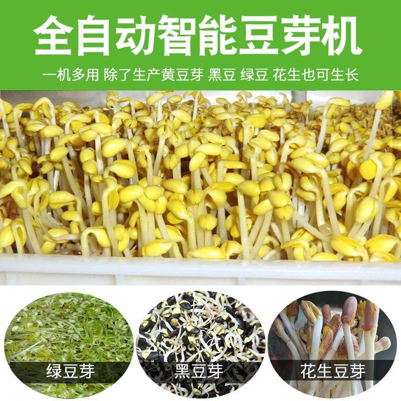 时光旧巷豆芽机商用全自动大型智能芽菜机大容量生豆芽机器厂家发绿豆芽机 150A箱式豆芽机10个育苗箱_23