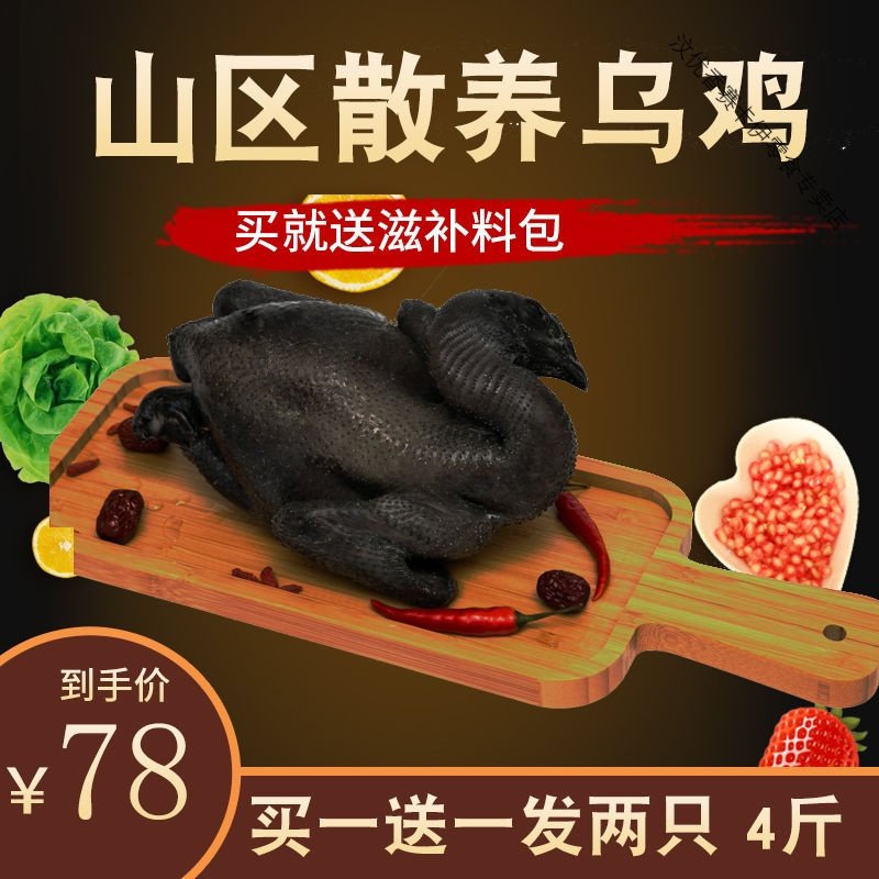 散养乌鸡 乌骨鸡现宰速冻新鲜鸡笨鸡土鸡 乌鸡 乌鸡1000g/只（共2只）送料包