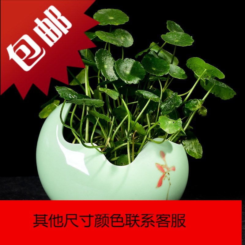 创意水培铜金钱花盆陶瓷水仙绿萝多肉容器简约绿植器皿批发清仓