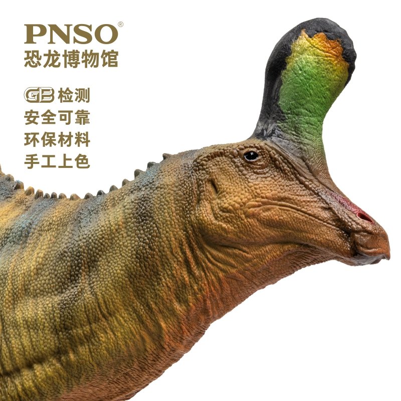 PNSO恐龙博物馆青岛龙小琴1:35科学艺术模型