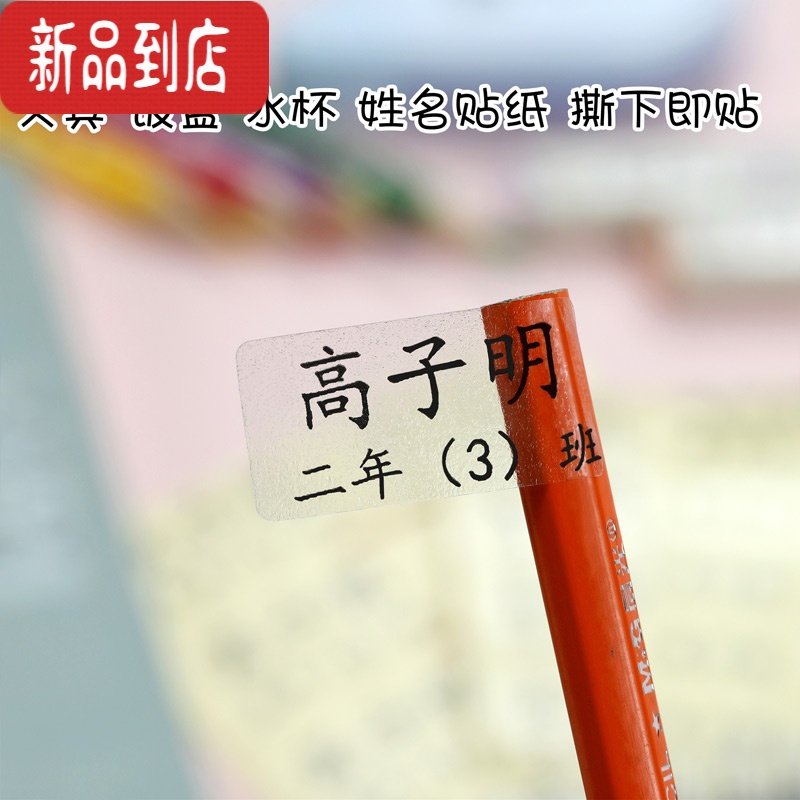 真智力姓名贴透明标签贴纸小学生文具名字贴班级可洗防水防撕名字贴定制 亚银 大号48贴