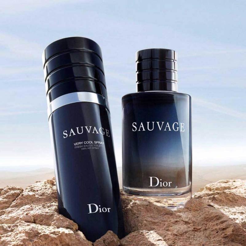 Dior迪奥旷野男士浓香水60ML 2018新品