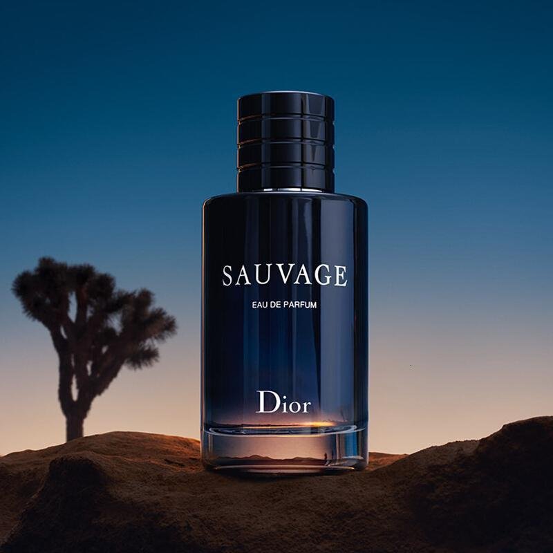 迪奥（Dior）旷野男士浓香水60ml