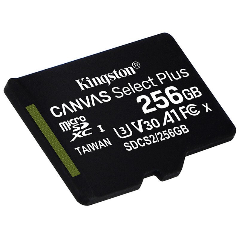 金士顿（Kingston）256GB 读速100MB/s switch内存卡（MicroSD） TF 存储卡 高品质拍摄