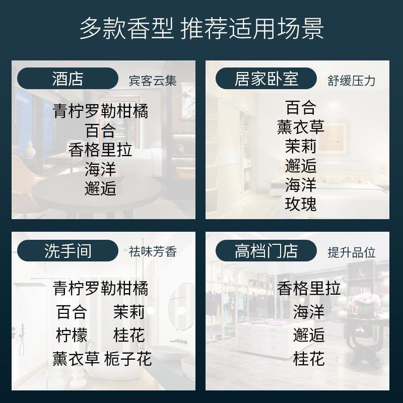 空气清新剂家用室内香薰卧室卫生间厕所除臭持久留下房间香水精油 情人草香薰2瓶+3瓶100ML补充液 鼠尾草海盐-香气弥漫