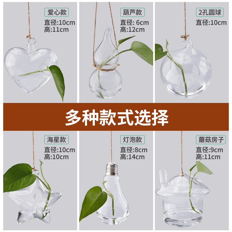 水培玻璃花瓶透明植物花盆壁挂创意diy墙上装饰悬挂小吊瓶小清新 壁挂全套送无痕钉无痕贴水晶泥