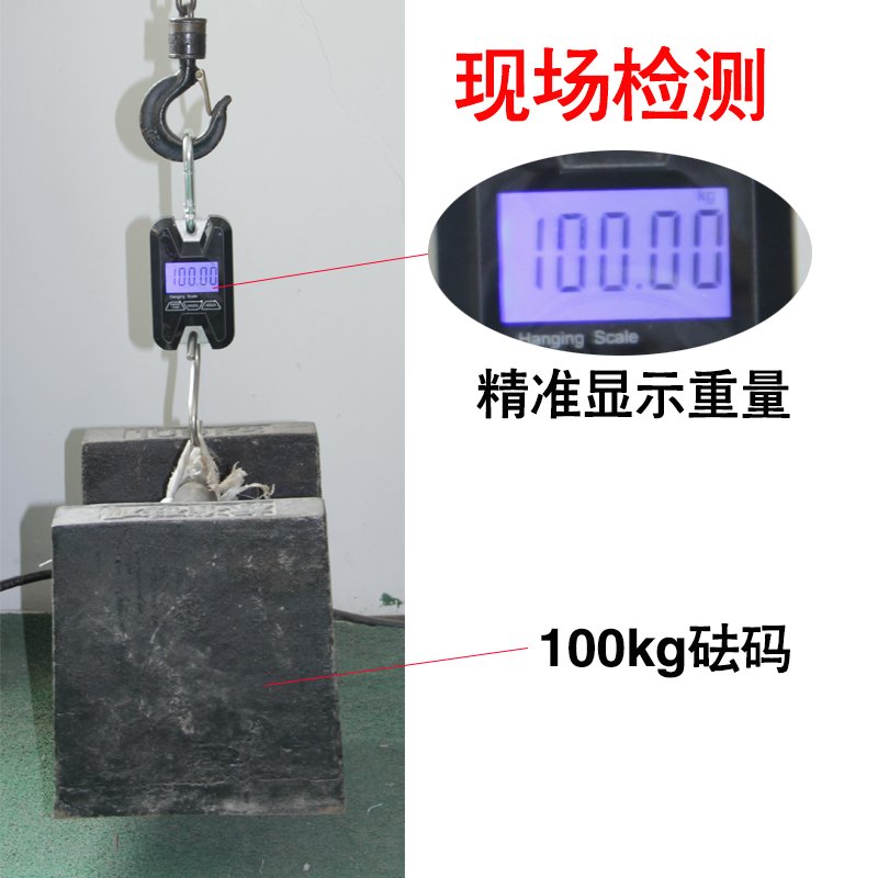 吊钩秤快递秤吊称电子手提称拉力计60kg 100公斤称猪肉纳丽雅家用吊钩秤 100kg/0.05kg