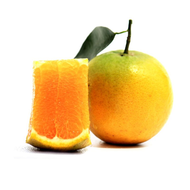 麻阳冰糖橙 带箱9.5-10斤