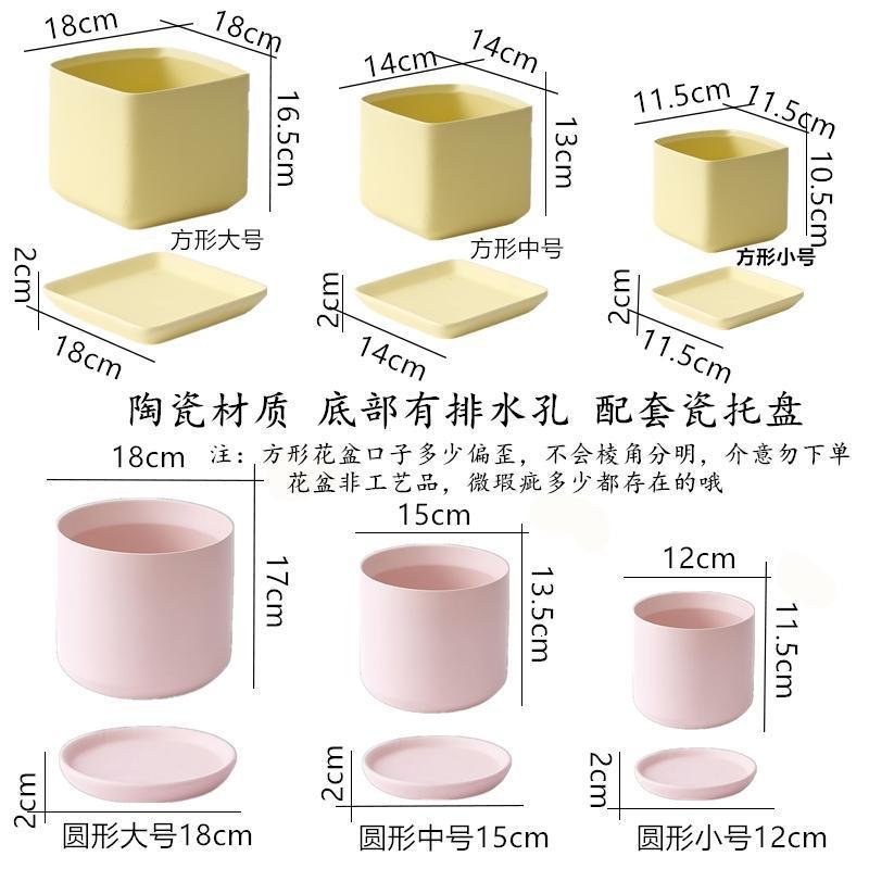 ins陶瓷花盆带瓷托盘家用马卡龙颜色北欧风方形圆形多肉绿萝花盆_656