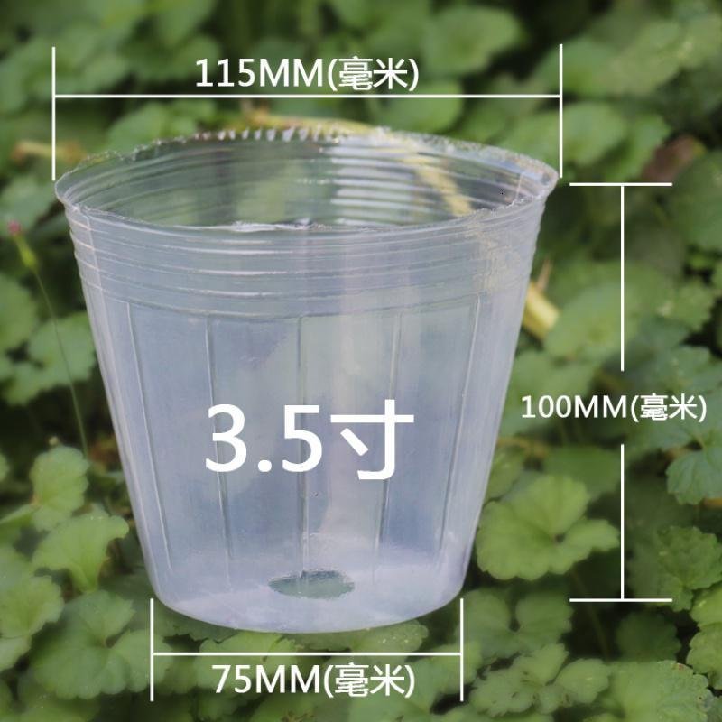 3.5寸2.5寸蝴蝶兰花种植专用营养杯塑料栽兰花弹痕育苗袋营养钵透明 【20个】3.5寸兰花杯_362