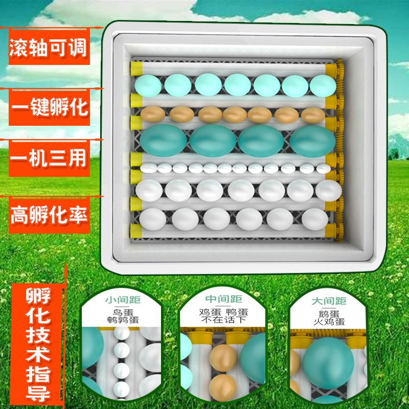 孵化器小型家用孵蛋器全自动孵化机智能孵化箱鸡鸭鹅鸟迷你孵蛋机 新款30枚单电多功能全自动（滚轴间距可调）_97