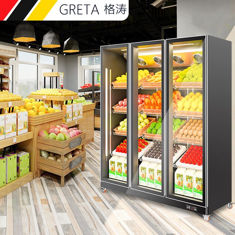 格涛（GRETA）双门展示柜 冷藏立式冰柜三门商用冰箱超市冰柜水果陈列柜点菜柜冷柜超市冰箱 GT-208