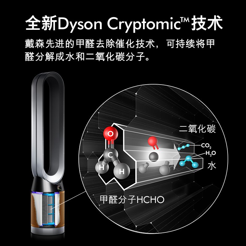 戴森（Dyson）TP06 空气净化风扇 净化甲醛 整屋循环 智能连接 黑金色 戴森 无叶净化风扇