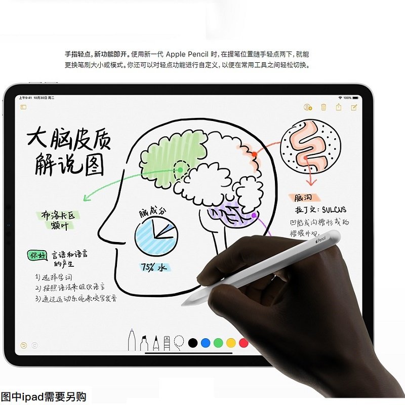 Apple Pencil手写笔（第二代）