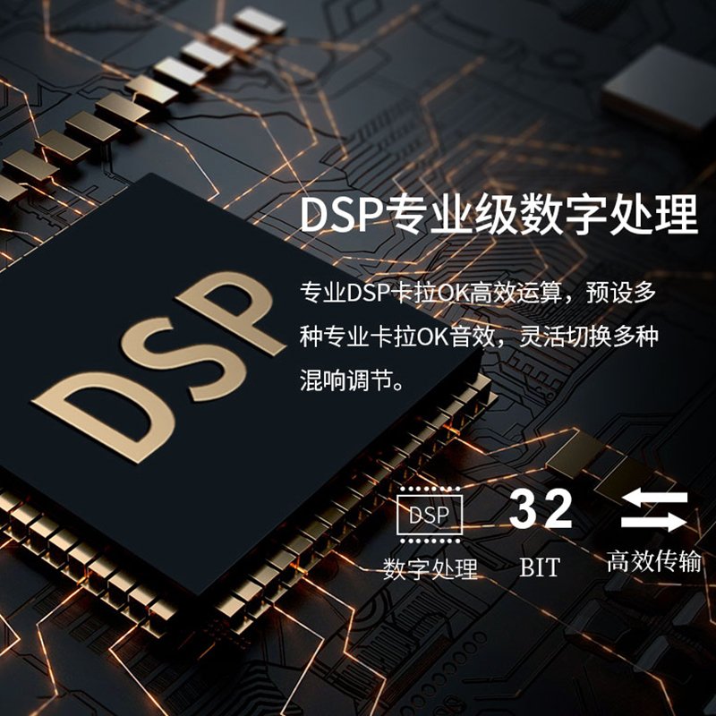 Winner/天逸 DSP-180卡拉ok家用5.1前级效果器 K歌混响器防啸叫混音 处理器