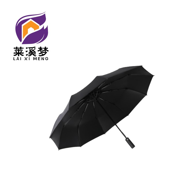 雨伞全自动开合十骨折叠大号结实抗风