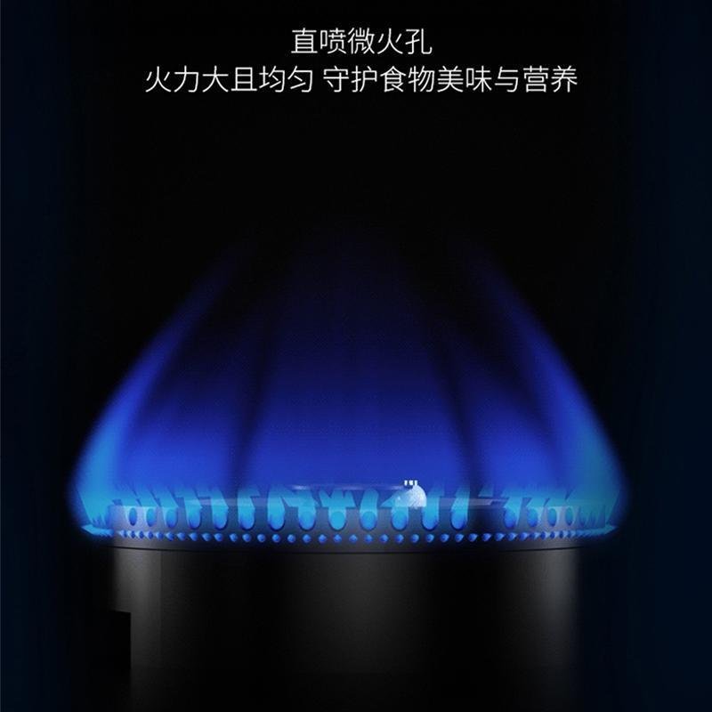 新飞鸿铭 智能厨卫电器 厨房灶具嵌入式燃气灶双灶 b265