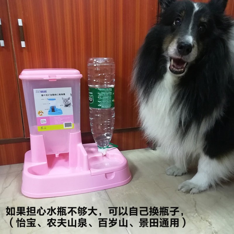 猫咪用品自动喂食器猫碗双碗自动饮水宠物自动喂食器狗碗狗狗用品 苹果形饮水器绿色_520