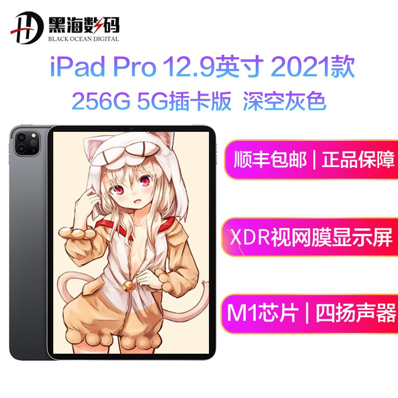 苹果 Apple 2021新款 iPad Pro 12.9英寸 256G 5G插卡版 苹果平板电脑 MHRH3 深空灰色