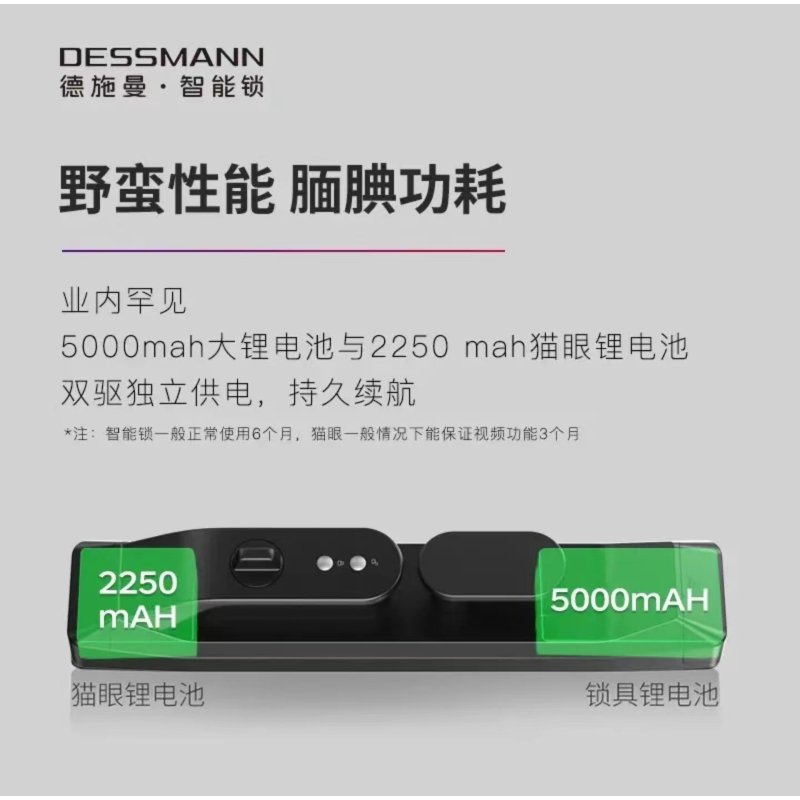 德施曼(DESSMANN)智能门锁 官方原装门锁电池