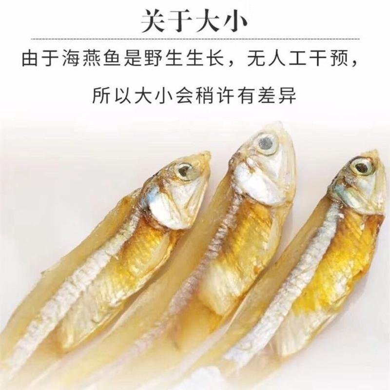 渔民自晒小公鱼500克海鲜干货小鱼干海燕鱼小鱼仔咸鱼干250克 2KRVRGDUGHPMWNYUQNEBNIGPWTIM