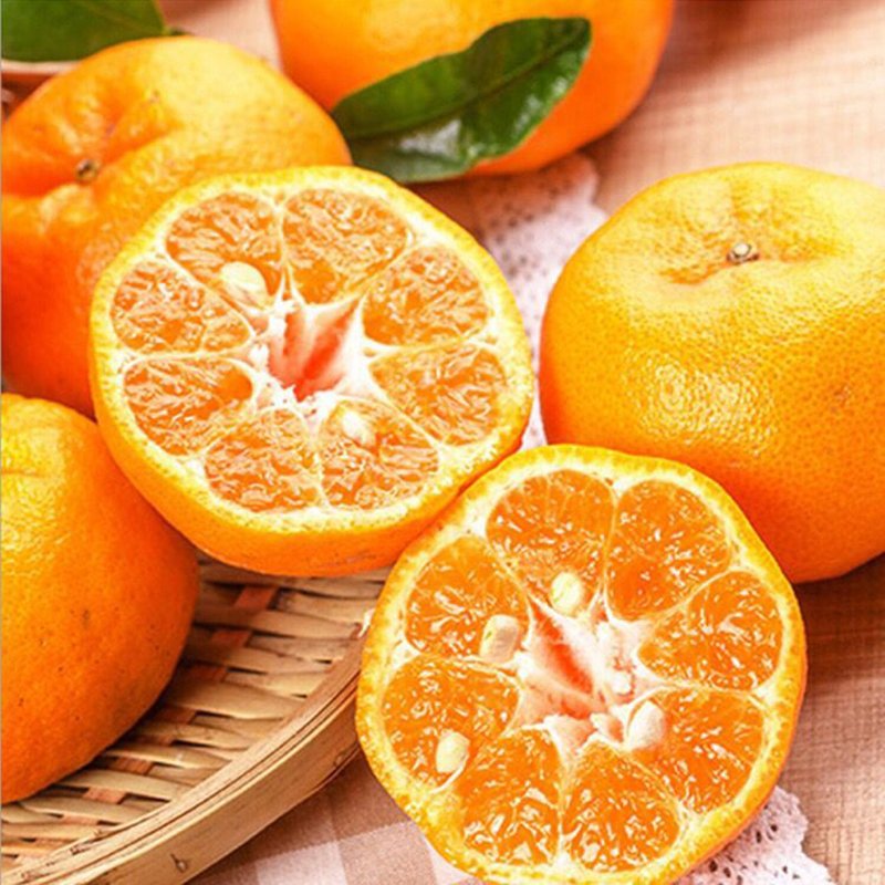 涌泉蜜桔 蜜橘 新鲜桔子 25kg 无核橘子 现摘现发 黄岩蜜桔 水果