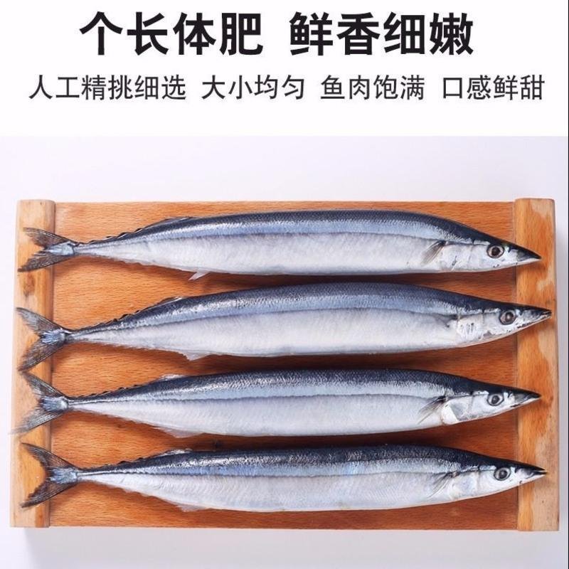 秋刀鱼 鲜 新鲜冷冻深海海鲜烧烤食材日式秋刀鱼鲜活水产海鱼 6斤MTXGYEVQJKVWEAOQHVWWMVKONUO