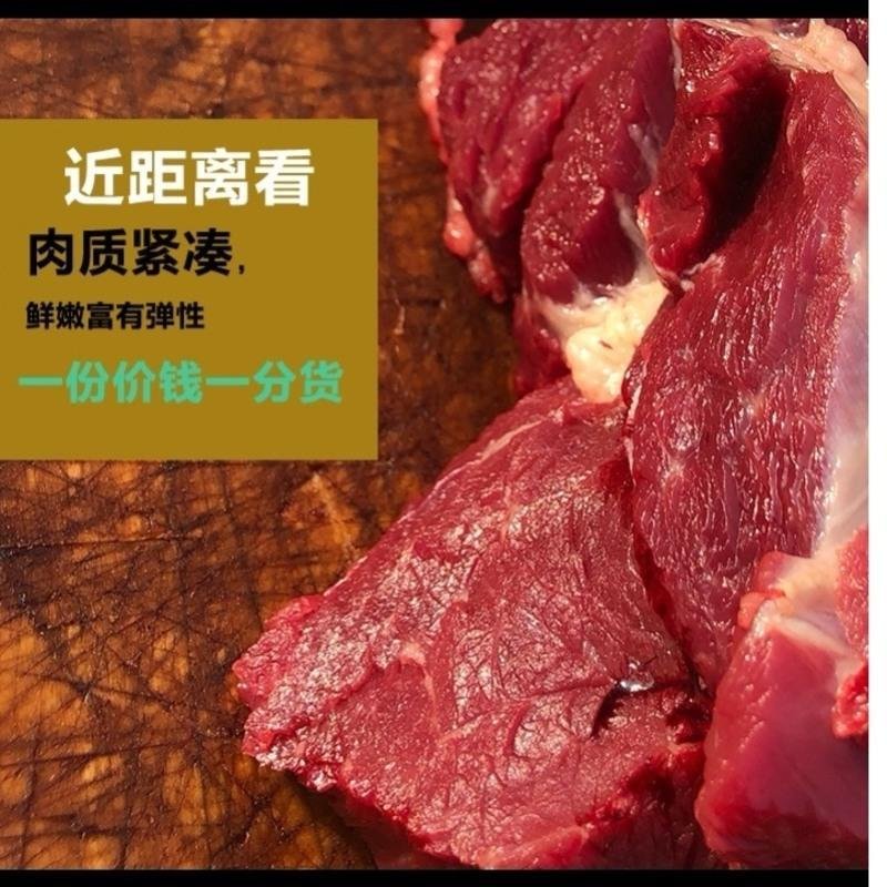 新鲜驴肉1500g袋装河北正宗驴肉现杀驴肉生熟驴肉驴肉真空顺丰 3KSSKXZYKDFDQQBWWMBMADNNJUHZ