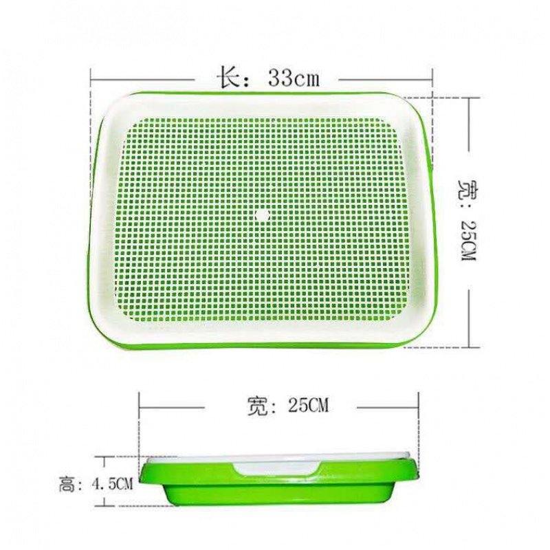 种蒜苗神器水培蒜苗容器家庭室内阳台大蒜种植盘栽种养蒜苗盘 2套蒜苗盘