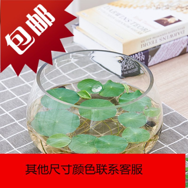 水培植物玻璃瓶透明器皿绿萝水培容器大号创意花瓶多功能水养花盆_889