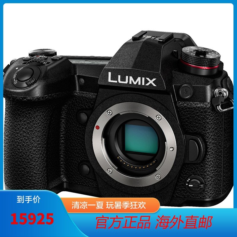 松下Panasonic数码相机LUMIX G9系列微单/单电无反数码相机 M4/3画幅 高速连拍 G9单机身