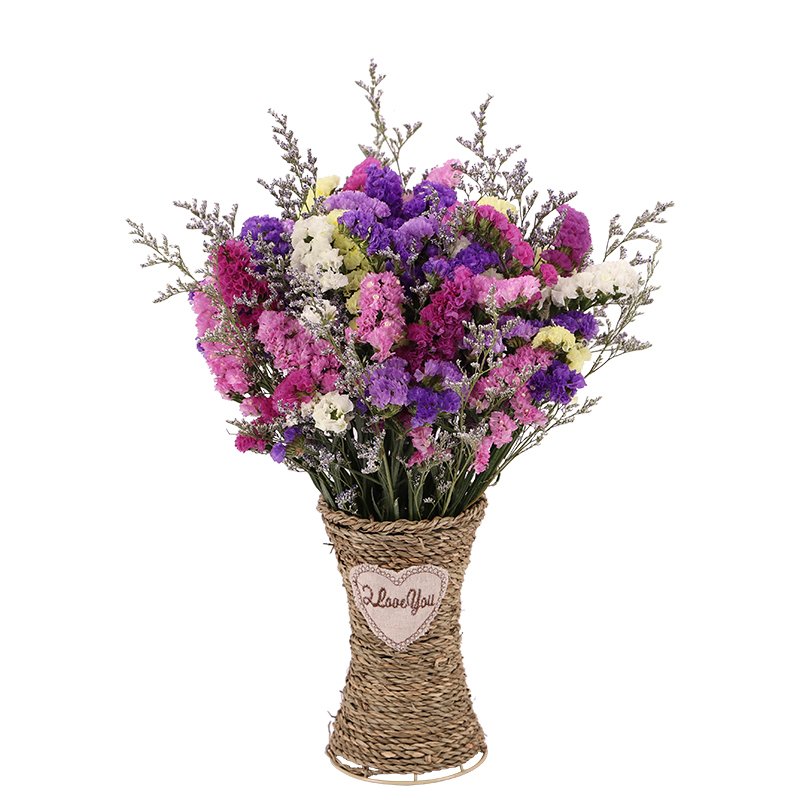 天然勿忘我干花 客厅装饰花摆件卧室干花插花风干真花花束diy材料 FENGHOU （混搭6色勿）加配1424FB