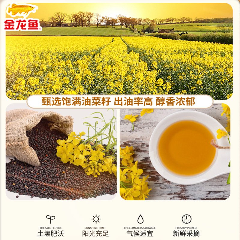 金龙鱼纯香维生素A营养强化菜籽油5L/桶装非转基因食用油物理压榨