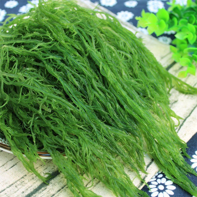 类别是腊鱼的湛航龙须菜怎么样