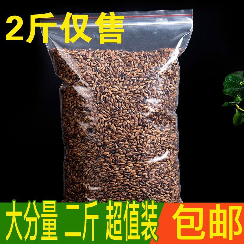 大麦茶浓香型宜搭配苦荞茶罐装非袋泡茶可搭荞麦茶 【2斤装】散称大麦JEWECDSNHKCJKBTQQGVPMOWGWKA