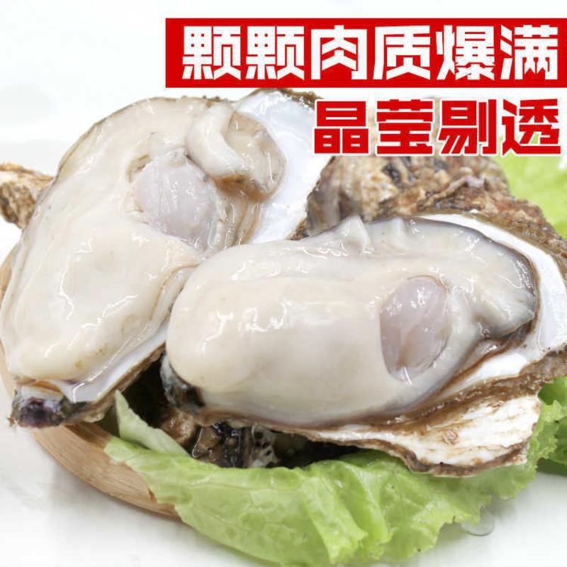 【顺丰特快】现捞鲜活生蚝新鲜乳山牡蛎带壳大海蛎子海鲜水产贝类 店长GRZVJIEWDZHTURAJGVMTBCWYRSI