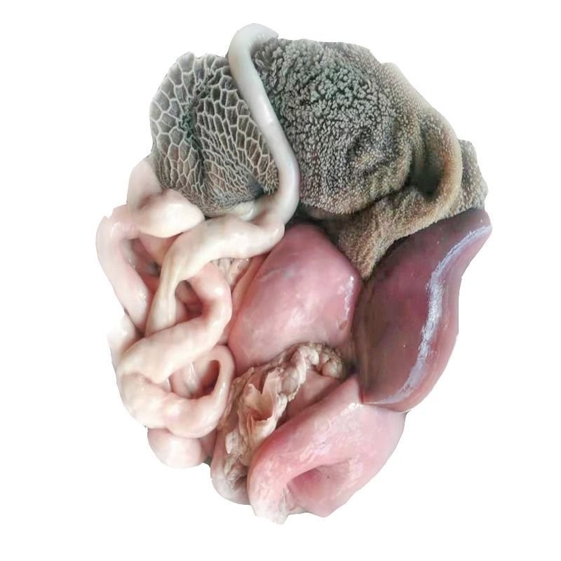 赛卡伊 新鲜羊杂生羊肚羊肝羊肺羊肠羊下水 整套 4斤羊肠送卤料送