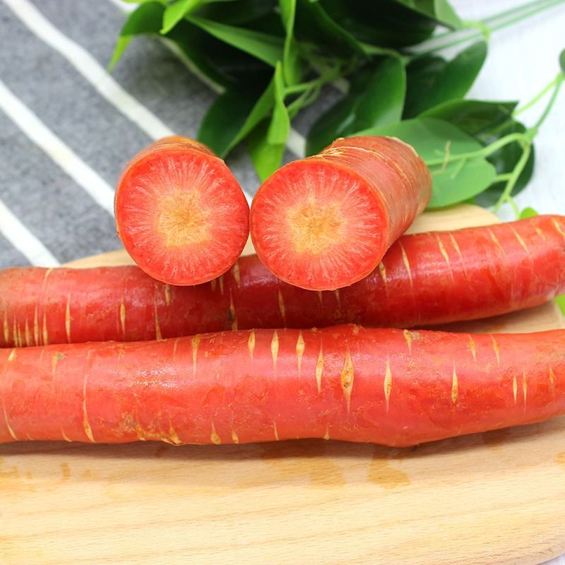陕西沙地红萝卜新鲜蔬菜胡萝卜水果带泥沙农家自产生吃红心萝卜 5斤