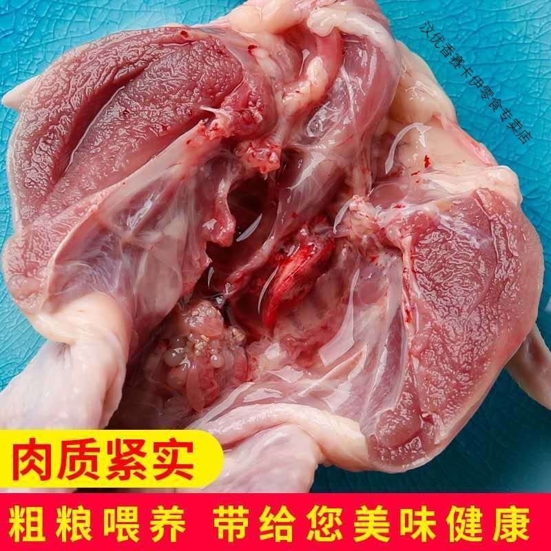 【放血现杀鹌鹑肉】新鲜鹌鹑去内脏速冻鹌鹑活体白条鹌鹑烧烤炖汤 现杀母鹌鹑10只【2.6两左右】