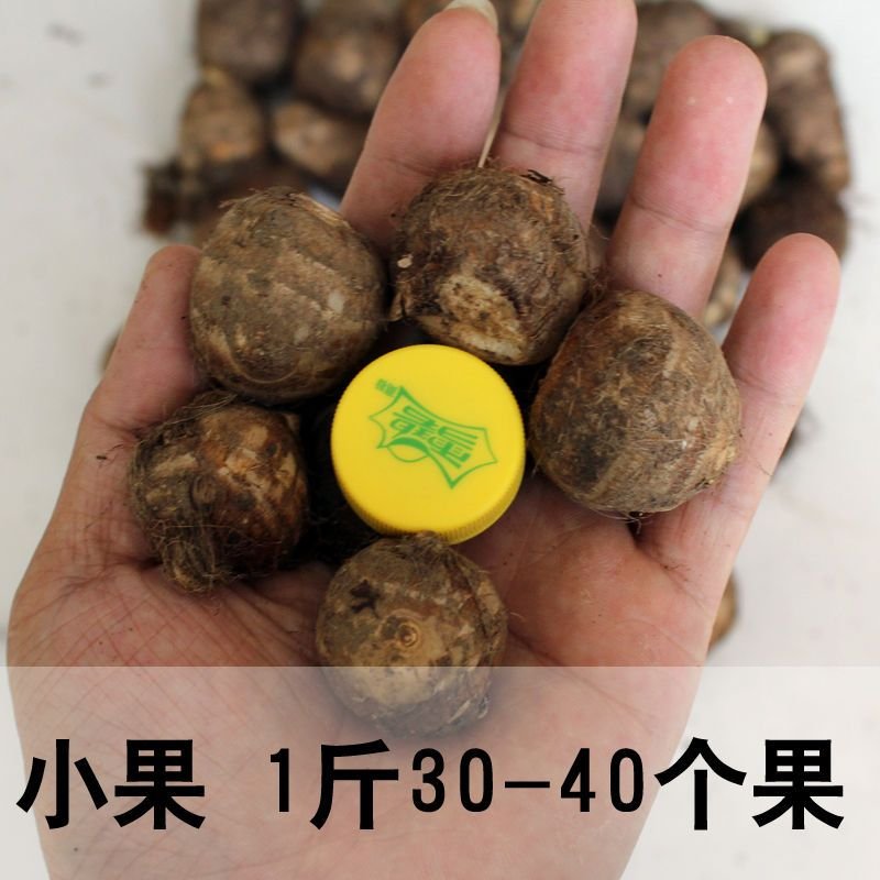 芋头山东新鲜毛芋头小芋头农家蔬菜毛芋艿滑糯香新鲜芋头【3月9日发ISDTVMZDUYKCFKKFNPLWGOCZXHN