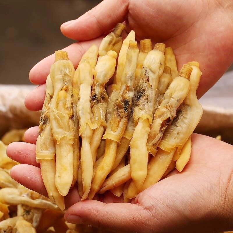 新鲜大蛏子干海蛏干 海鲜干货野生海蛏子竹节蛏子肉半干 蛏子100克试吃（10个左右）1H108Y