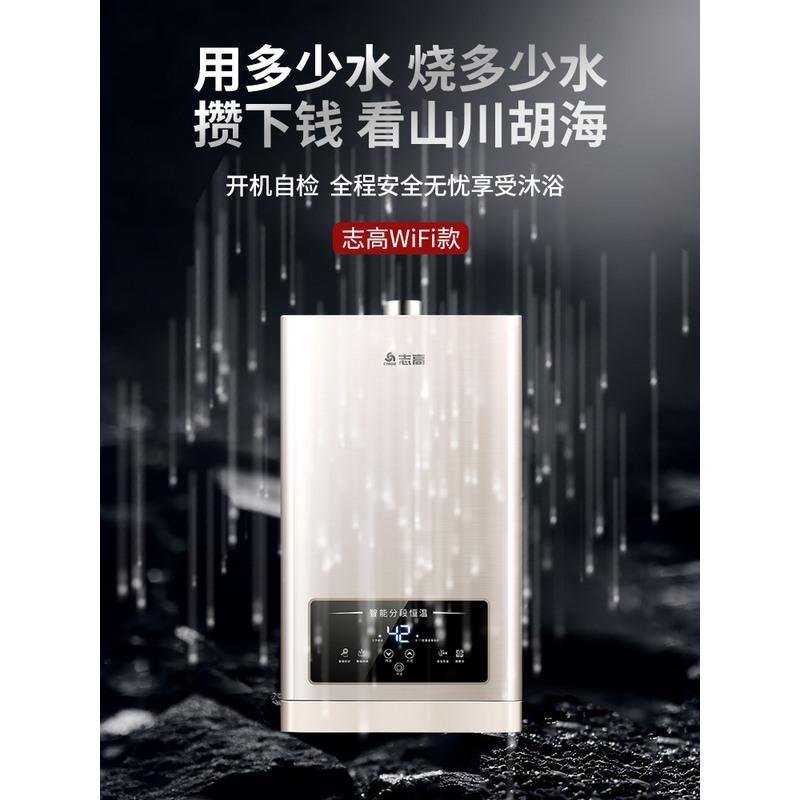 志高燃气热水器家用12升13L恒温天然气液化气煤气强排平衡式16升 十二升可装浴室 液二