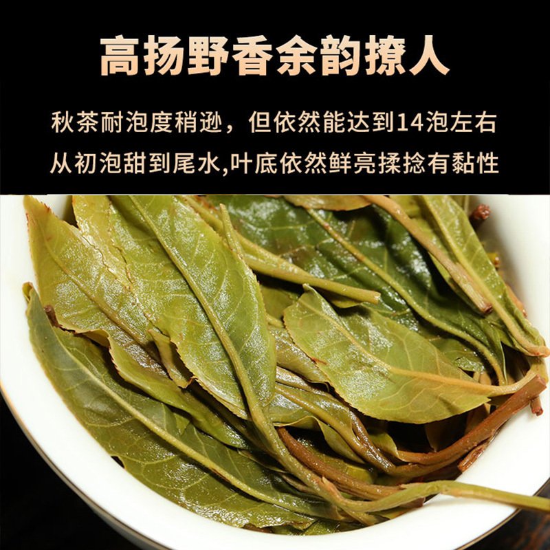 新益号易武古树古300易武六俊谷花普洱茶生茶饼357g生普云南茶叶