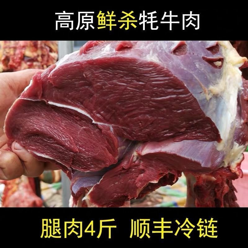 赛卡伊 川西高原牦牛肉新鲜牛肉冰鲜装新鲜耗牛肉里脊后腿肉牛腩牛腱牛肉 牦牛吊龙肉（火锅推荐）4斤装