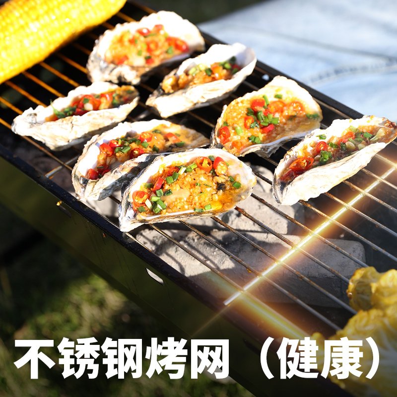 加厚烧烤炉家用木炭烧烤架户外碳烤炉野外大烤肉炉子室内用具bbq 套餐二：烤炉+烧烤10件套_995