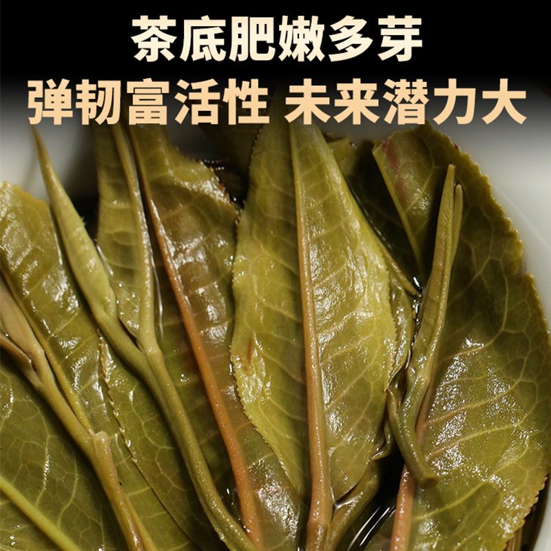 2022春茶预售新益号颂春南糯山半坡老寨古树茶普洱茶生茶饼茶叶